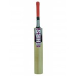 HRS 100 Up Kashmir Willow Cricket Bat